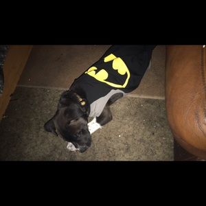 Meet your Posher, Steven